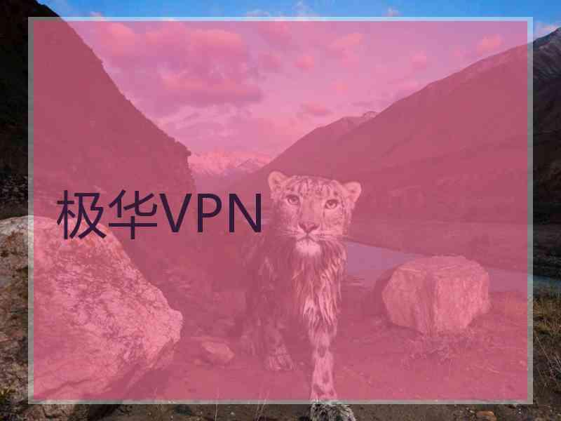 极华VPN