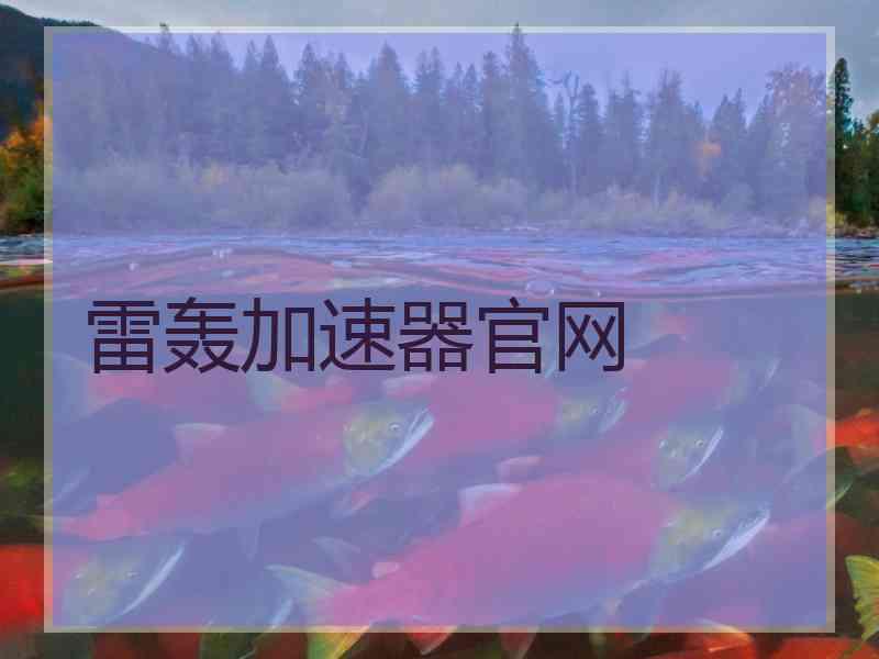 雷轰加速器官网