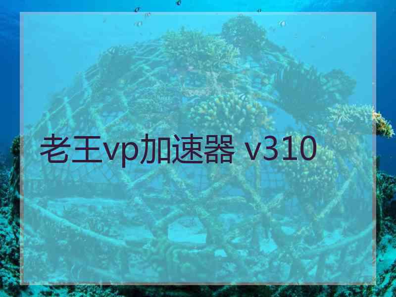 老王vp加速器 v310