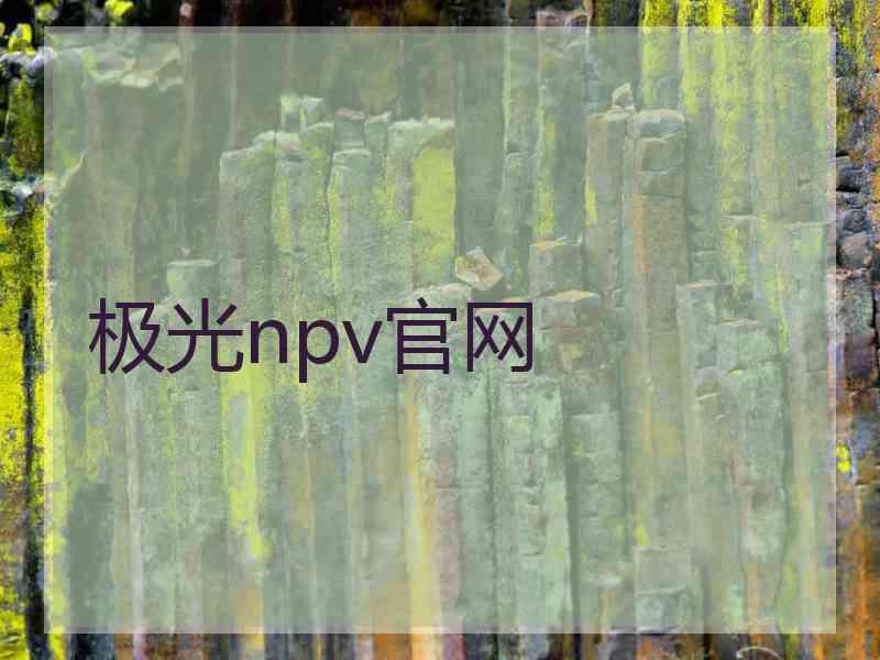 极光npv官网