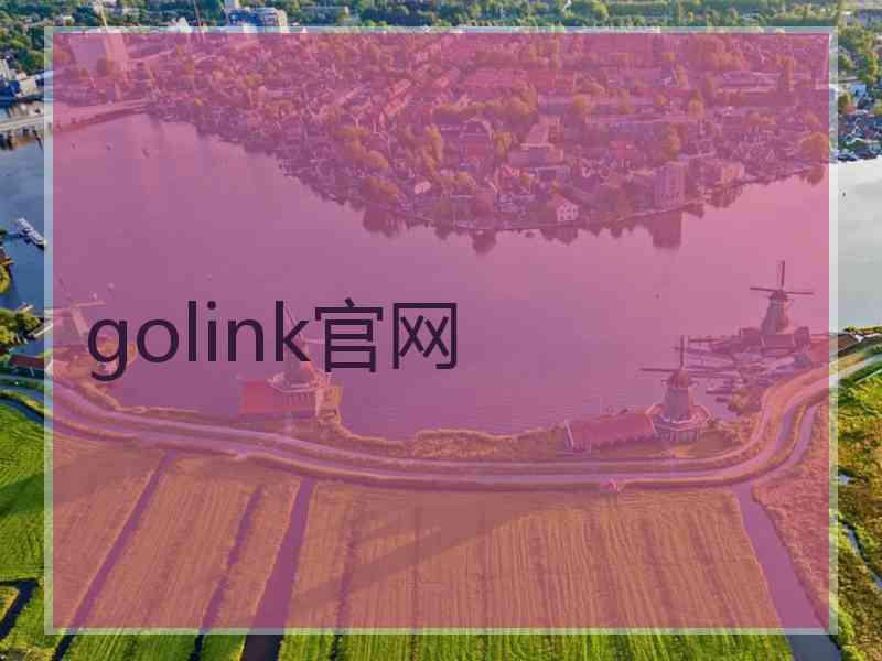 golink官网