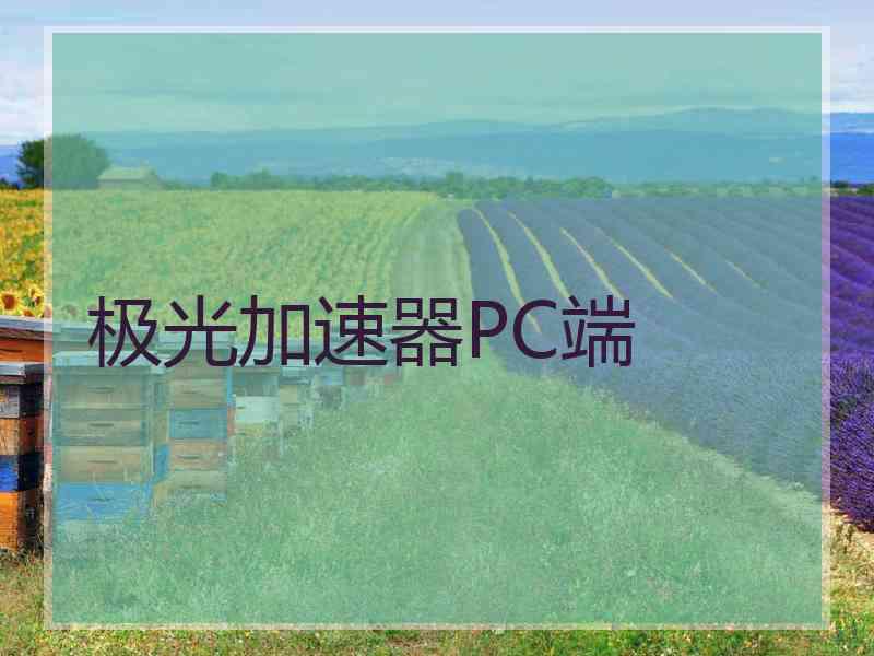 极光加速器PC端