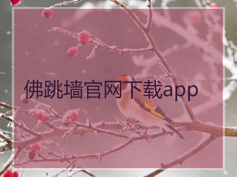 佛跳墙官网下载app