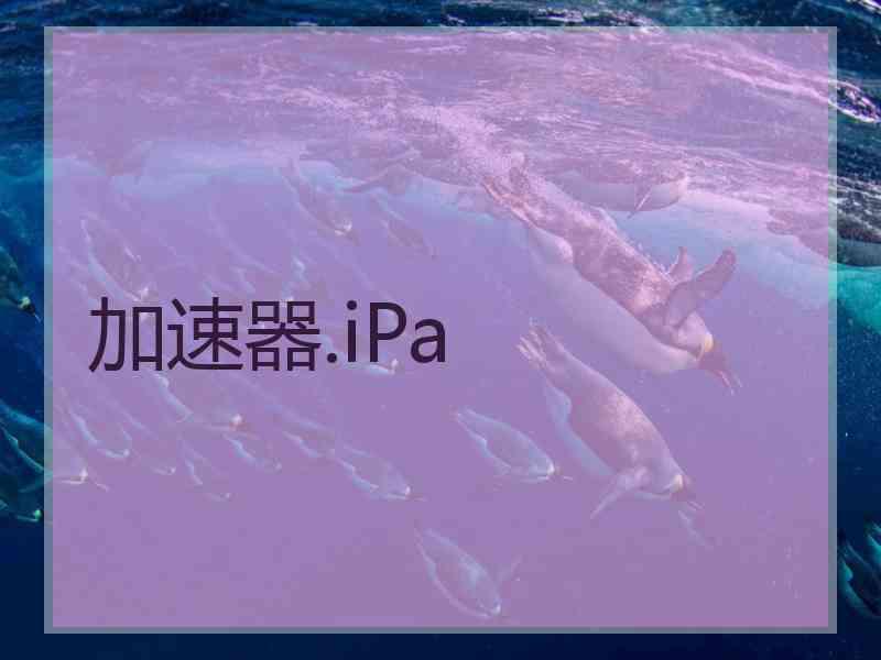 加速器.iPa