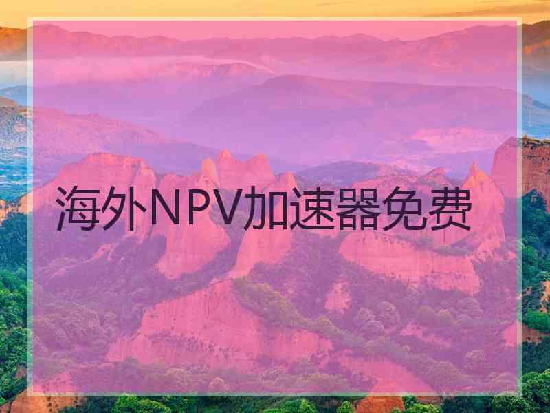 海外NPV加速器免费