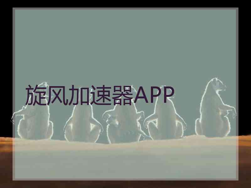 旋风加速器APP