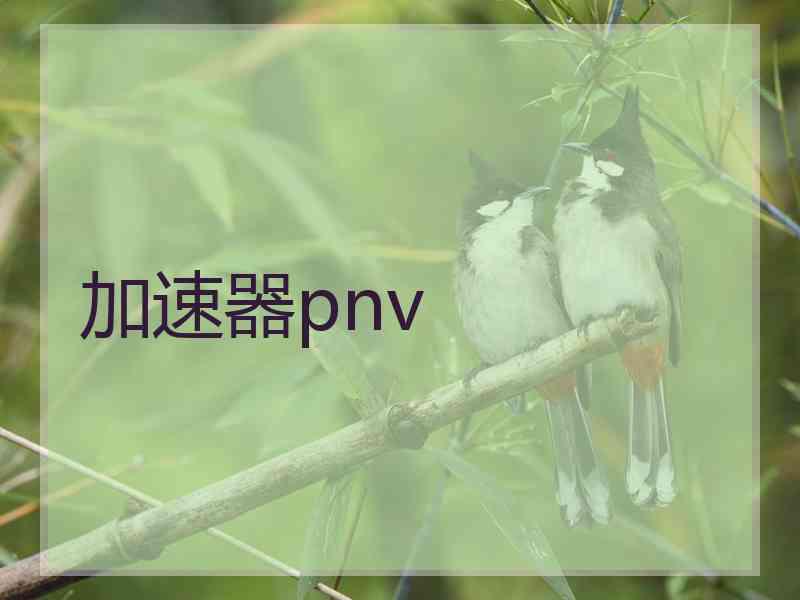 加速器pnv