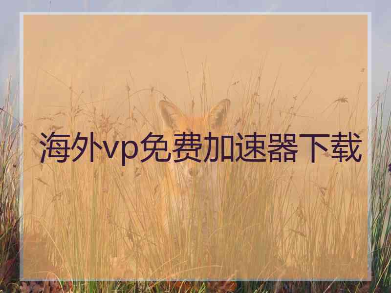 海外vp免费加速器下载