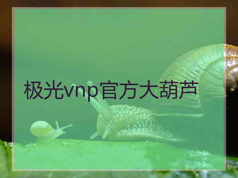 极光vnp官方大葫芦