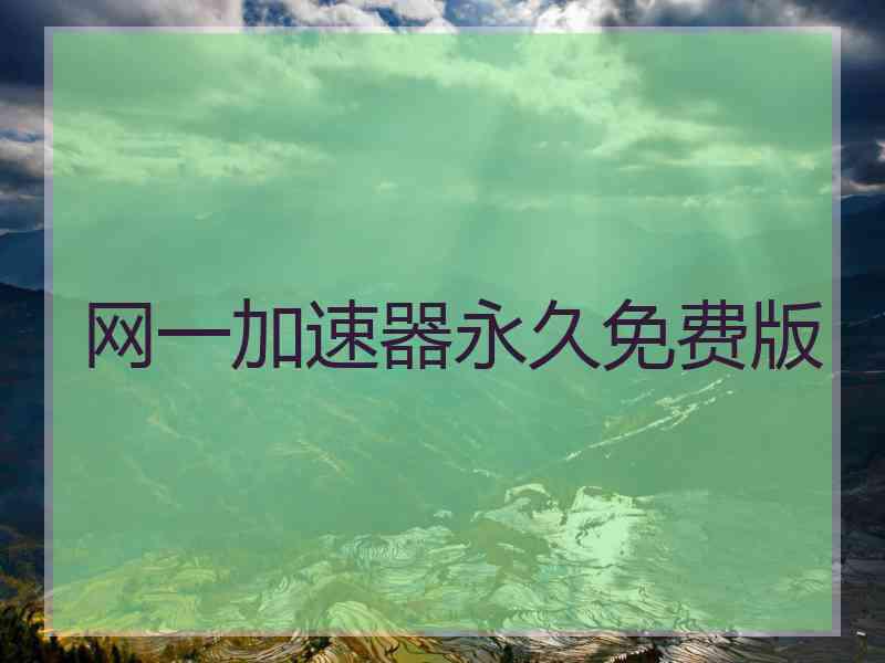 网一加速器永久免费版