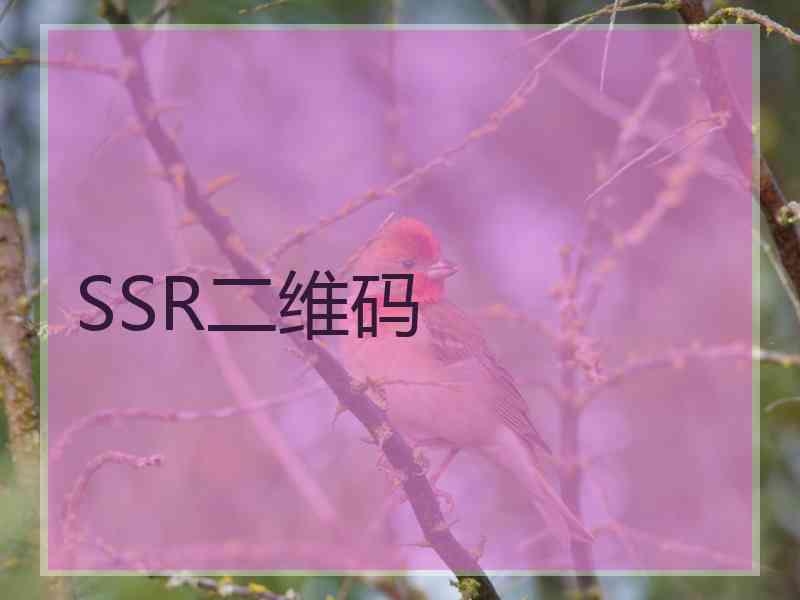 SSR二维码