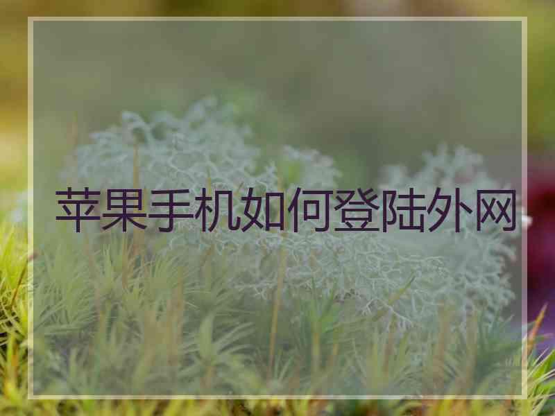 苹果手机如何登陆外网