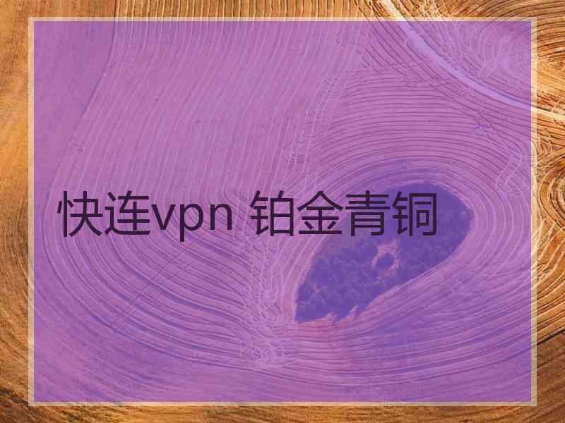 快连vpn 铂金青铜