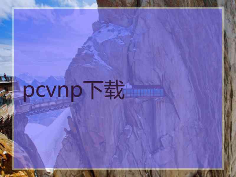 pcvnp下载