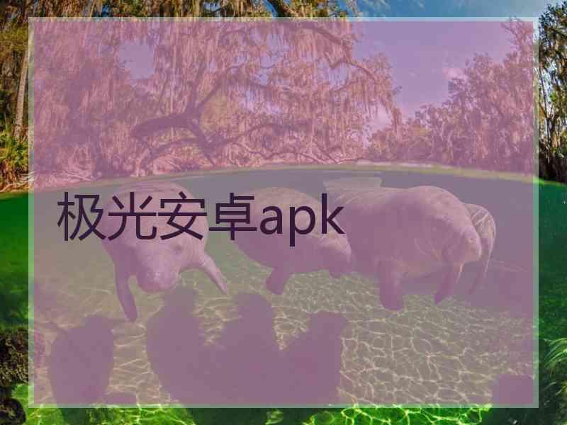 极光安卓apk