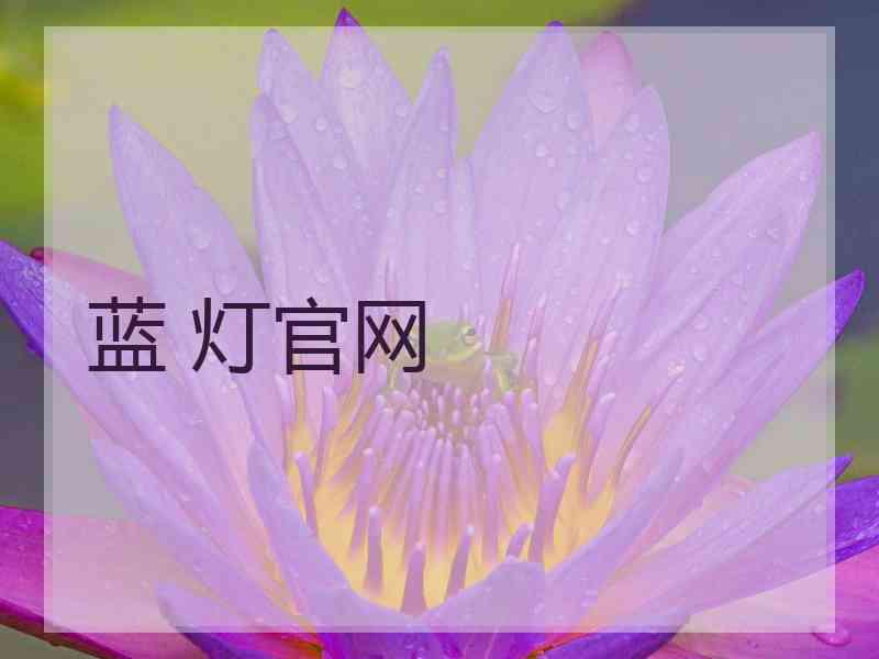 蓝 灯官网