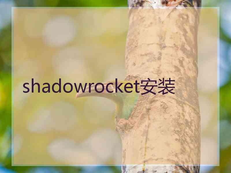 shadowrocket安装