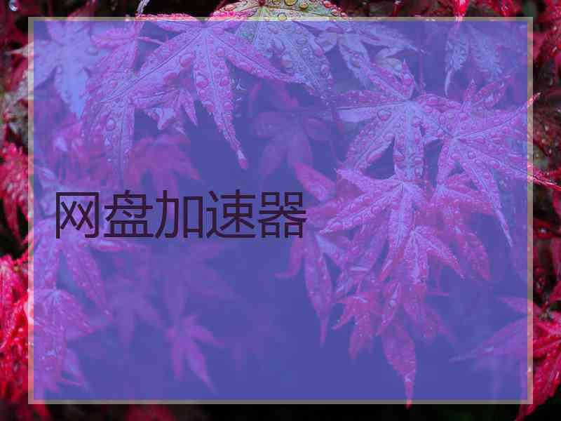 网盘加速器