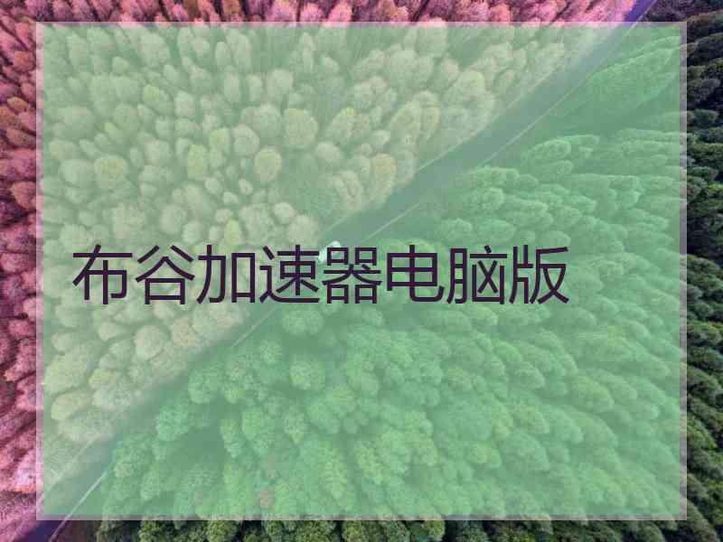 布谷加速器电脑版