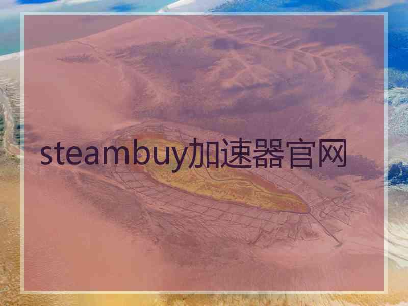 steambuy加速器官网