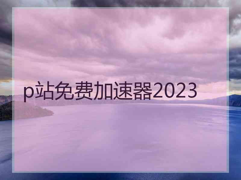 p站免费加速器2023