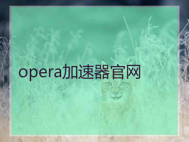 opera加速器官网