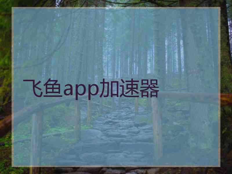 飞鱼app加速器