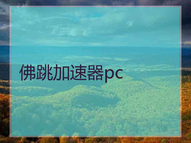 佛跳加速器pc