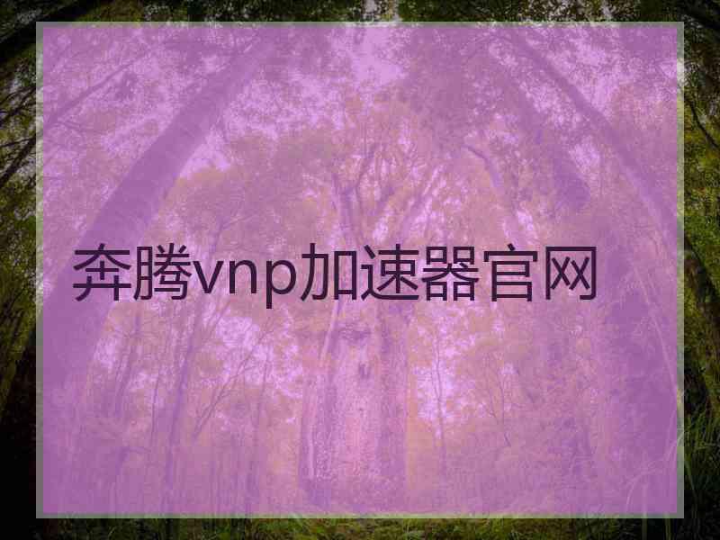 奔腾vnp加速器官网