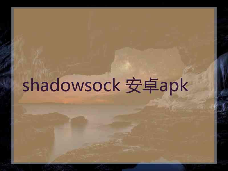 shadowsock 安卓apk