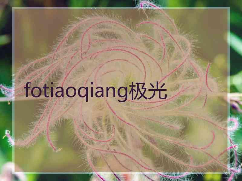 fotiaoqiang极光