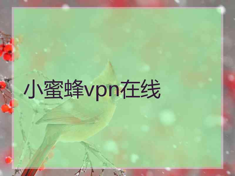 小蜜蜂vpn在线