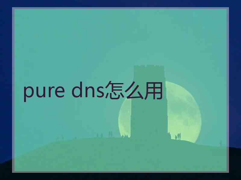 pure dns怎么用