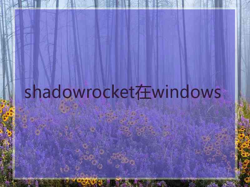 shadowrocket在windows