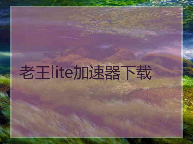 老王lite加速器下载