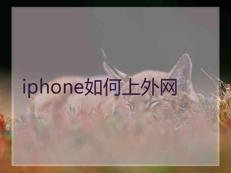 iphone如何上外网