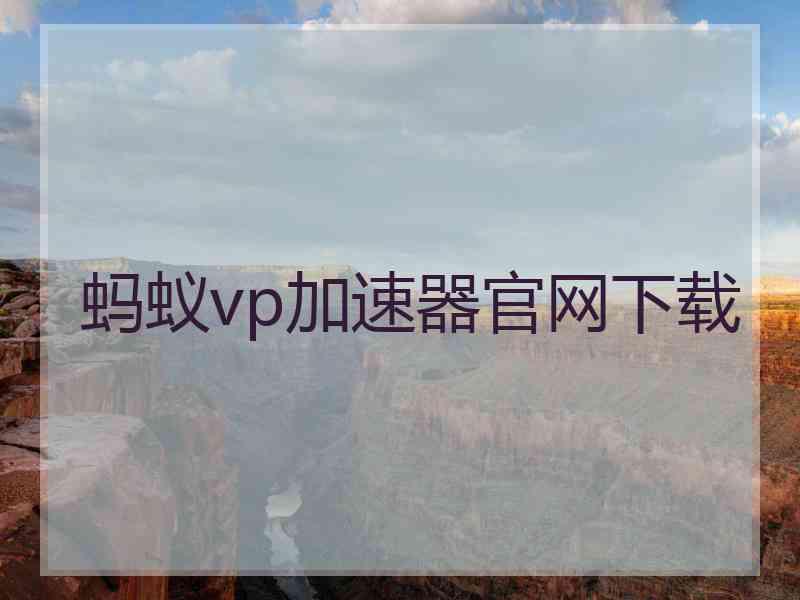 蚂蚁vp加速器官网下载