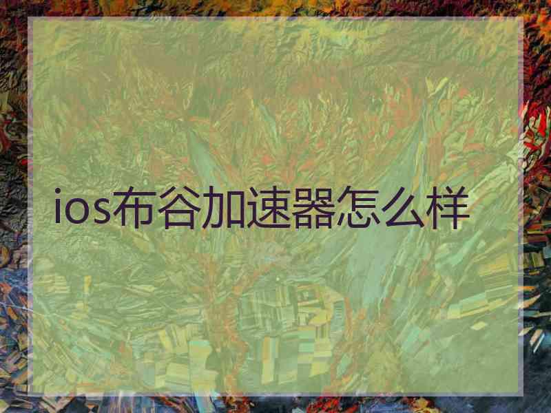 ios布谷加速器怎么样