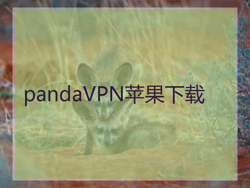 pandaVPN苹果下载