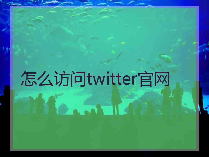 怎么访问twitter官网