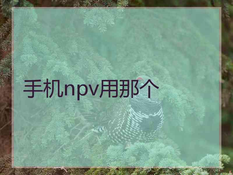 手机npv用那个