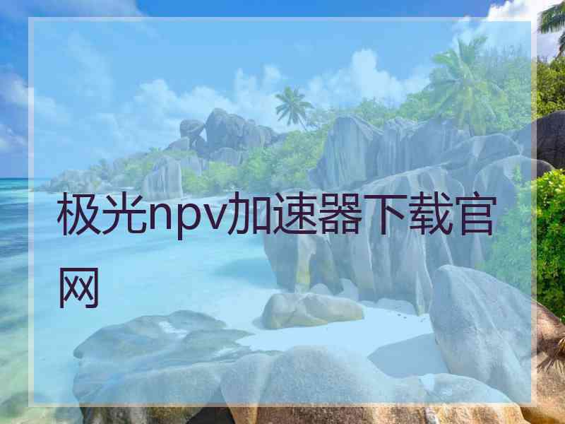 极光npv加速器下载官网