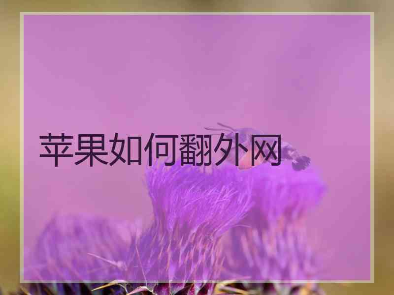 苹果如何翻外网