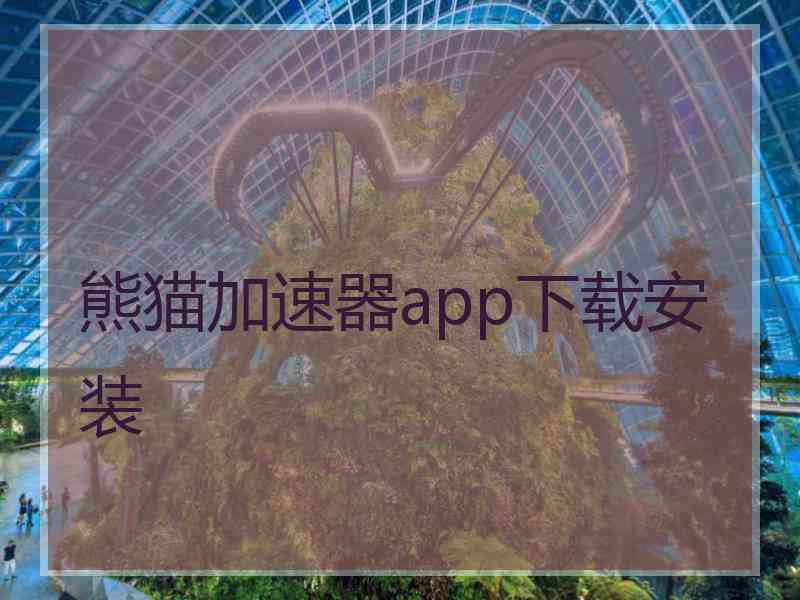 熊猫加速器app下载安装