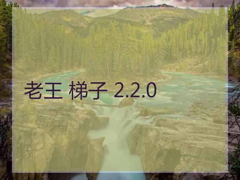 老王 梯子 2.2.0