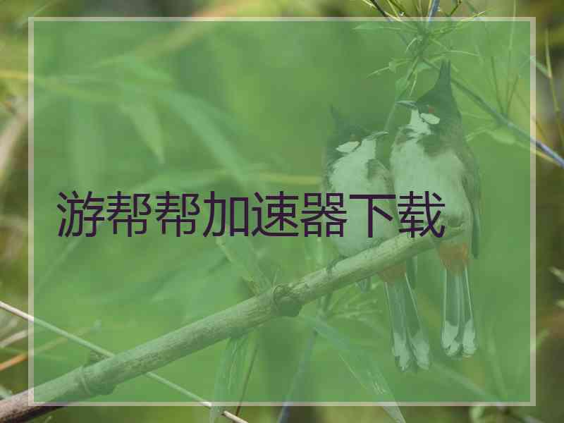 游帮帮加速器下载