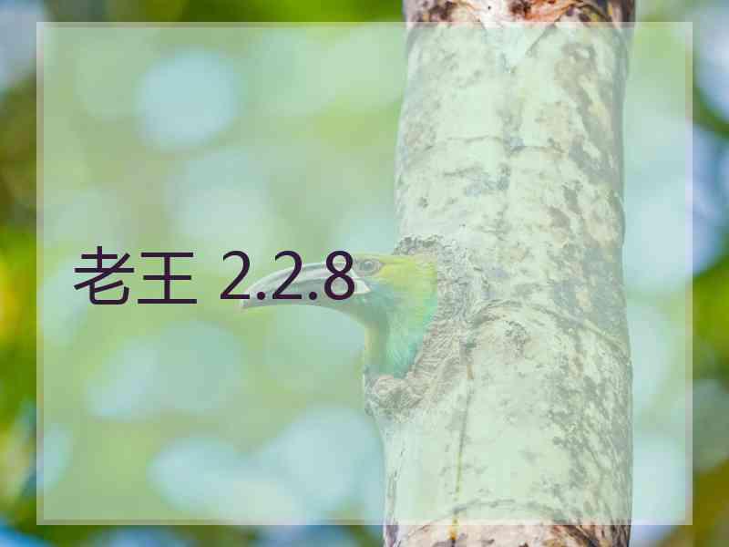 老王 2.2.8