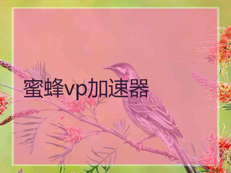 蜜蜂vp加速器