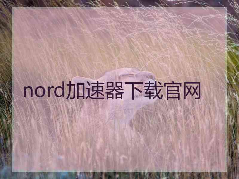 nord加速器下载官网