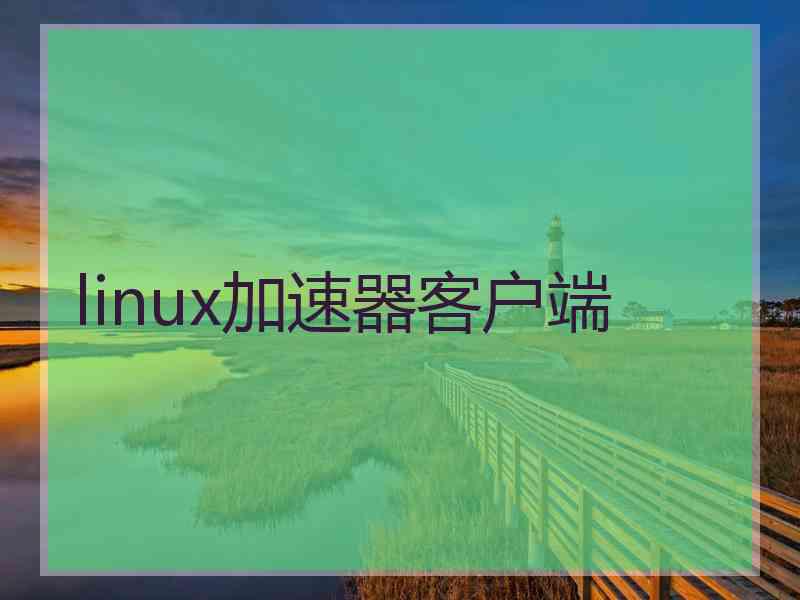 linux加速器客户端